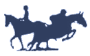 sporthorse.jpg